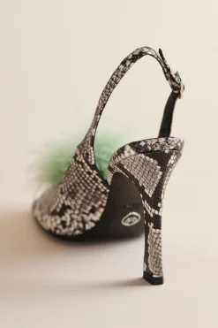 Holly Pump In Cactus